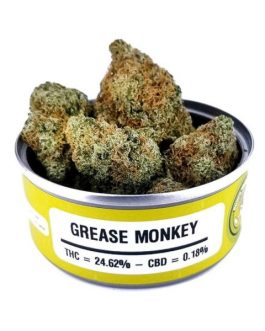 Grease Monkey