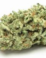 AK-47 Weed Strain (Hybrid)
