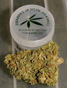 Blackberry Kush (Hybrid)