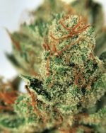 Deadhead OG