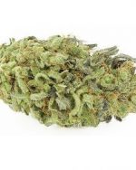 Durban Poison (Sativa)