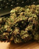 Electric Kush