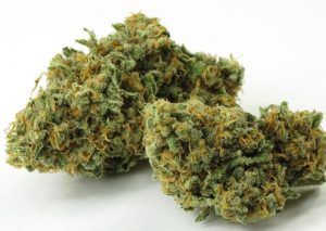 Green Crack (THC: 25%)