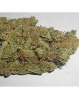 Liberty Haze