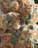 Rainmaker Strain