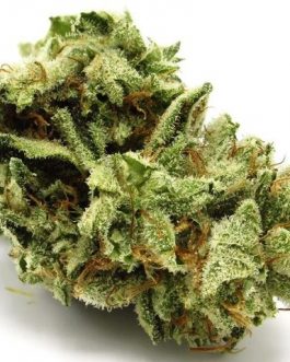 Bubba Monster Cookies Strain/28 Grams
