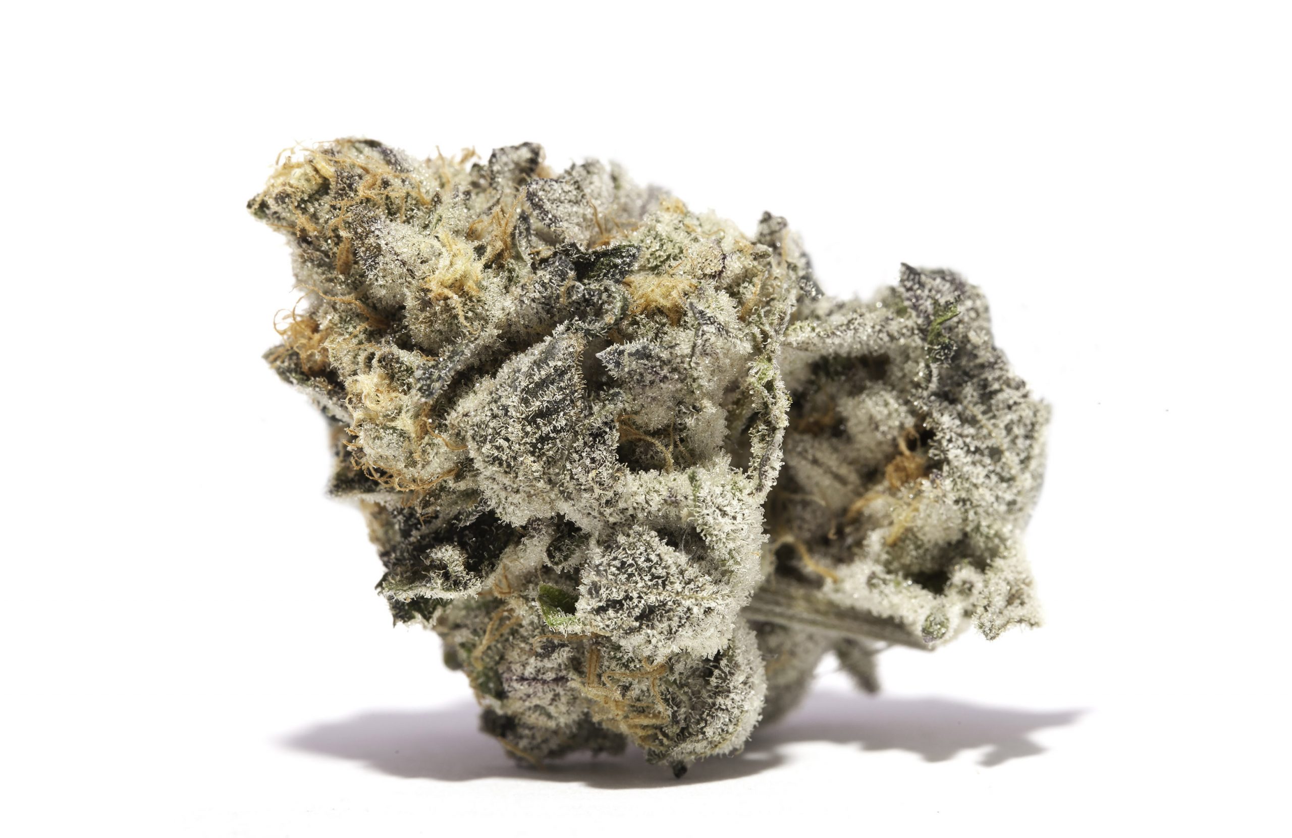 Girls Scout cookies