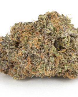Grape Ape (THC: 21%)