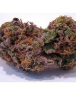 Grand Daddy Purple (THC: 27%)