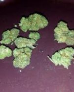 Diesel Haze Automatic Seeds