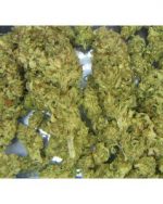 Kosher Kush (Reserva Privada)