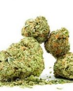 Lemon Kush Seeds