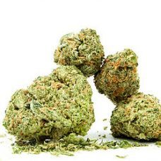 Lemon Kush Seeds