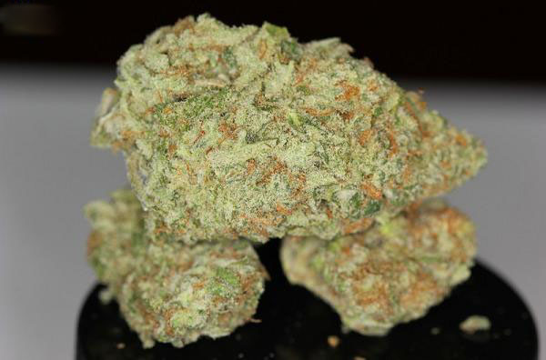 Nukem Strain (THC 20%)