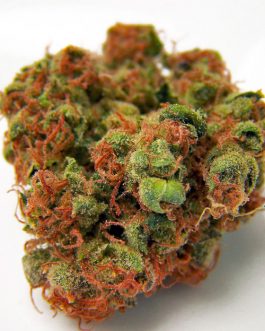 Panama Red(THC: 22%)