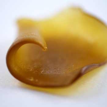 PhoDub Extracts