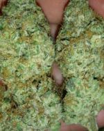 BUY HIGH GRADE MARIJUANA 100gs for $250