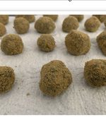 1g Moon Rocks (Dipped in oil)
