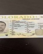 HQ USA FRESH REAL DRIVERS LICENSE SCAN ANY STATE + SELFIE (FROM REAL PEOPLE NOT FAKE DOCS)