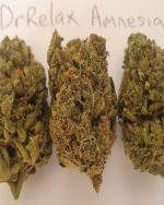 Amnesia marijuana Sativa 3.5 gram