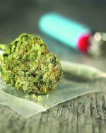 Amnesia 10g Premium weed
