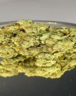 14G CRITICAL SOUR DIESEL A+++ TOP PRICES IN UK!!! NDD-FREE POSTAGE