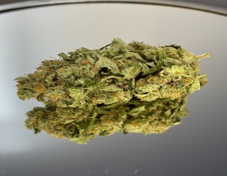 14G STARDAWG A+++ TOP PRICES IN UK!!! NDD-FREE POSTAGE