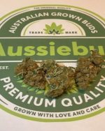 KETAMINE (S ISO) A+