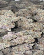 Banana Punch - Exotic (220/OZ - 3400/LB)