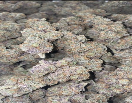 Banana Punch - Exotic (220/OZ - 3400/LB)