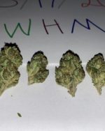 DeadHead OG - AAA (105/OZ - 1650/LB)