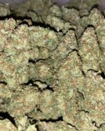Rugrat OG - AAA (95/OZ - 1550/LB)