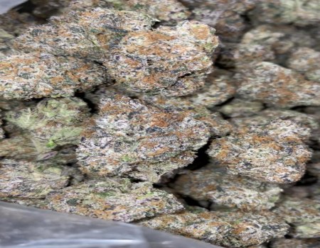 SugarPlum Kush - Exotic (240/OZ - 3750/LB)