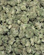 Indoor Smalls - 1oz+