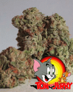 Weed - 10g Silver Haze Weed