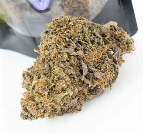 250G AAA+++ ORANGE DREAM TOP PREMIUM INPORT - NDD