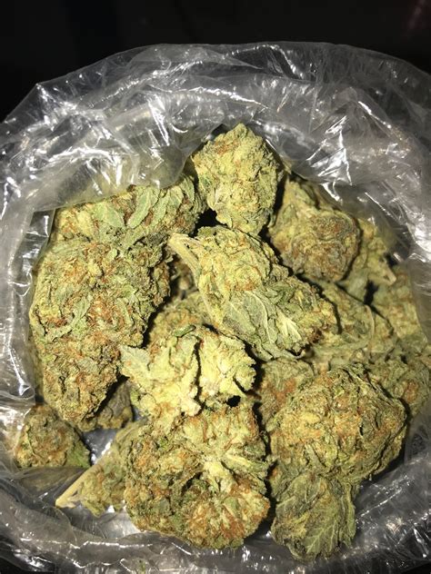 250G PURPLE HAZE TOP IMPORT AAA+++ -