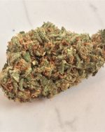 Amnesia 10g Premium weed