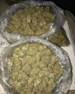 Bio Sour Diesel Indoor