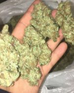 Gorilla Glue Top Quality