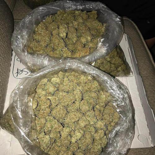 Sour Diesel 1oz