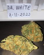 KUSH (all)