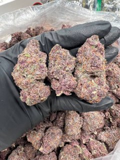 Pink Og Indica 1Ounce