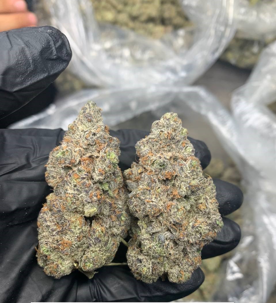 Candy Gelato 1Ounce