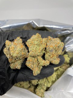 Orange Cookie 1Ounce