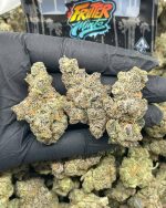 Fritter Mintz 1Ounce