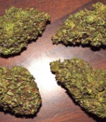$1,000 Purple Kush 1LB 1 Pound 16oz Ounces HQ Indoor A+ 9.5/10