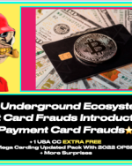 The Underground Ecosystem Of Credit Card Frauds Introduction to Payment Card frauds + 1 USA CC EXTR