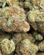 Girl Scout Cookies