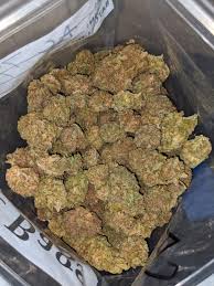 White Widow